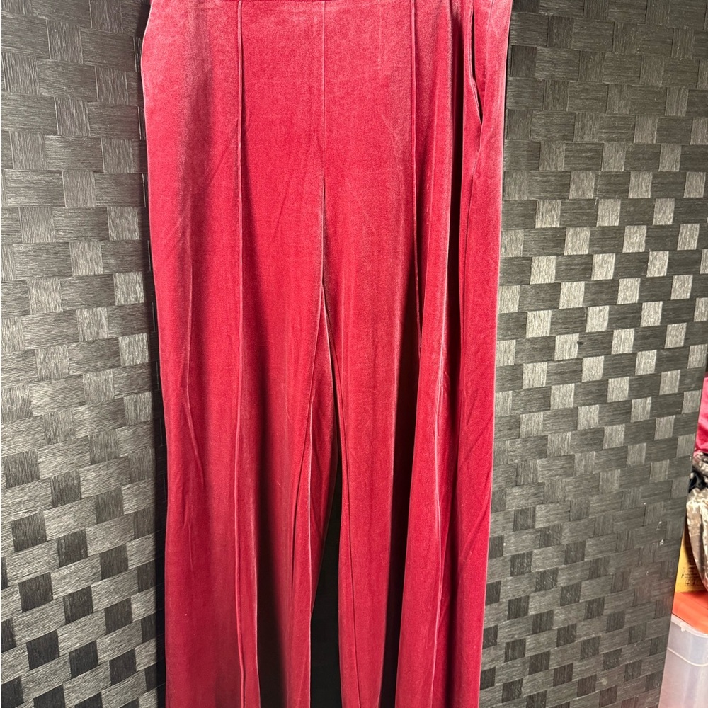 Elegant INC Burgudy/Wine Velvet Pants